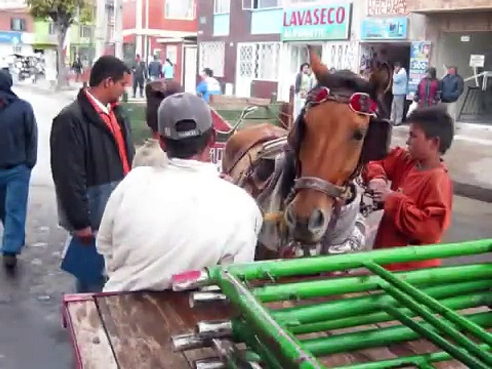 CONTROL EQUINO OCTUBRE