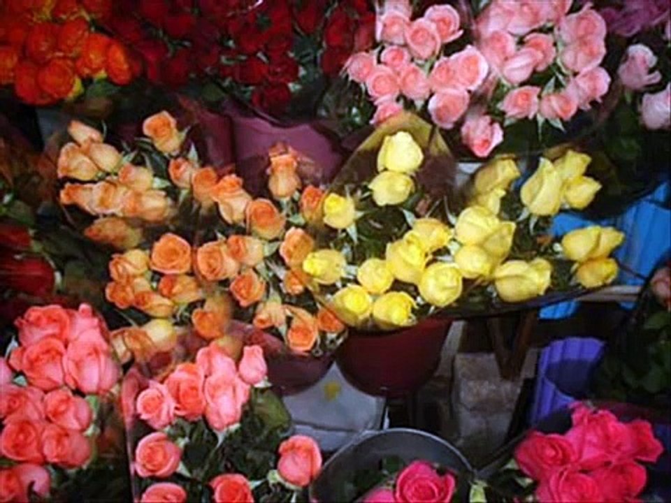 VIDEOCLIPE  PREGADORES  DE  ROSAS.wmv  *Cantor Marcos Antônio*