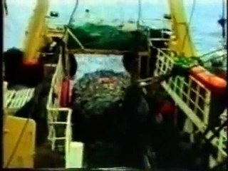 Fishing Trawler in the North Atlantic 1970s