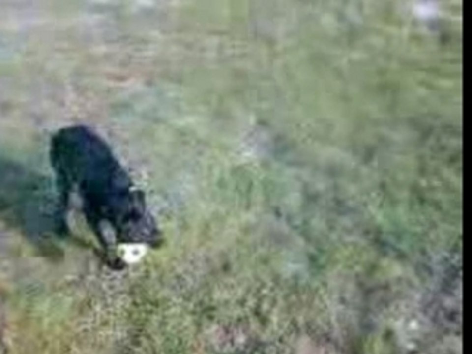 VID024