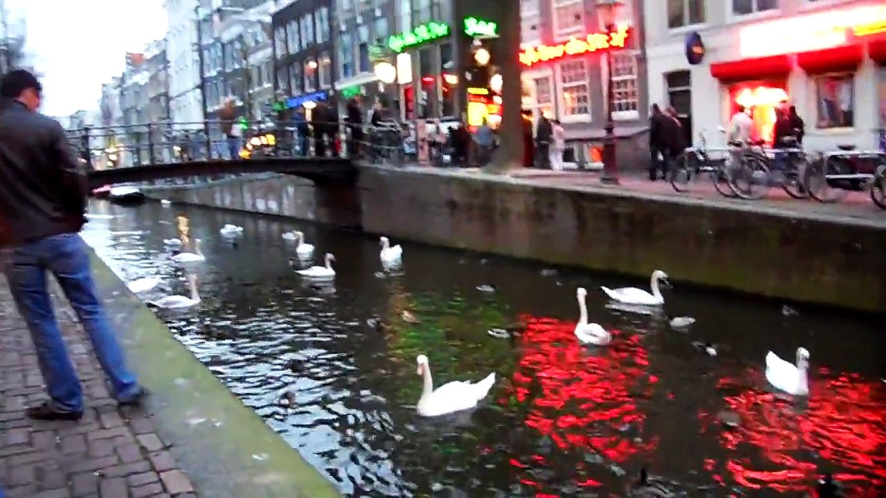 Red light district  Amsterdam 10/04/10 Wild Birds