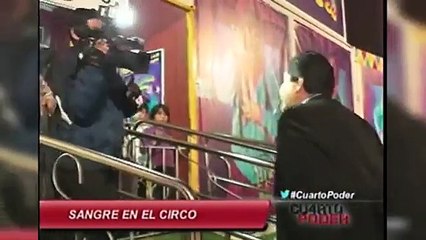 Perú, Juegos Panamericanos Toronto 2015, Dragon Ball Super, Mia Khalifa
