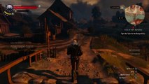 The Witcher 3 Last 2 Fights in Novigrad