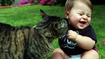 Funny cats and babies playing together   Cute cat & baby compilation