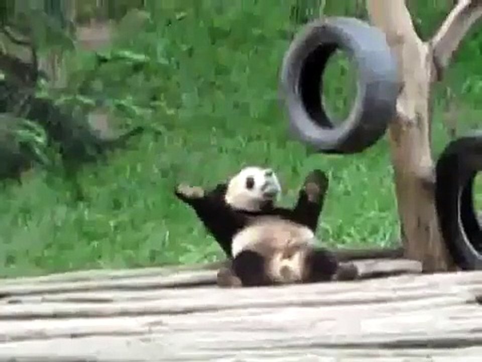 Dance-The-Panda-Gaga-Just Dance