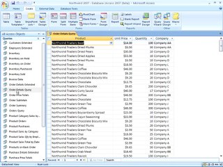 Access 2007 - Using Query Design View