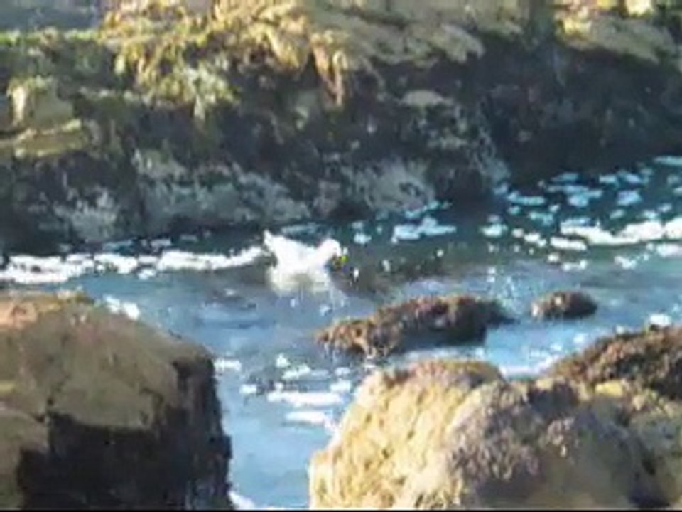 Asilomar State Beach 1