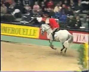 Casir Ask - Elite Stallions