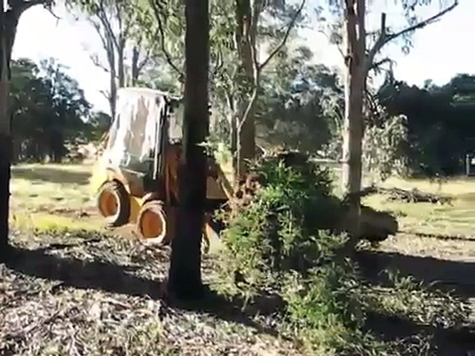 JCB 1CX pushing stump
