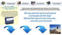 Boulder County Humane Society - Dog Training Denver CO