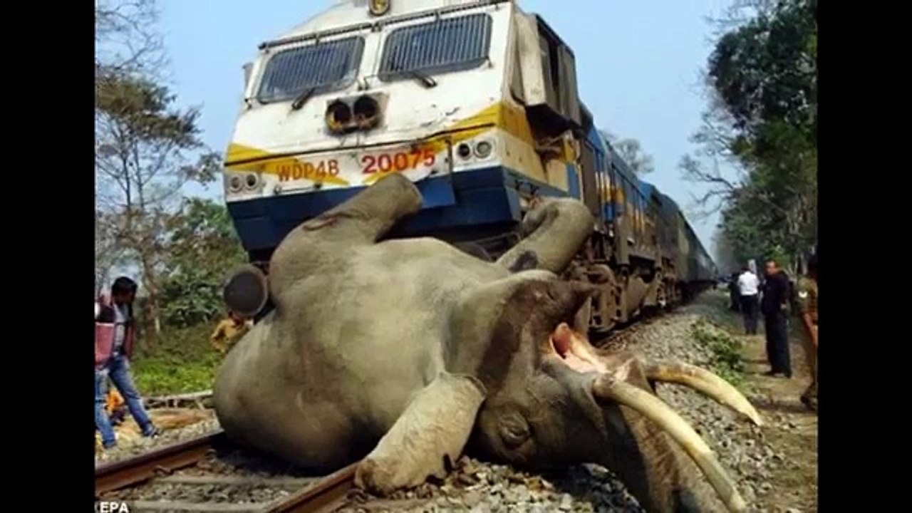 DESTROYED in Seconds INDIA