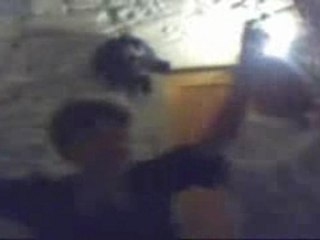 La danse des canards accelerée