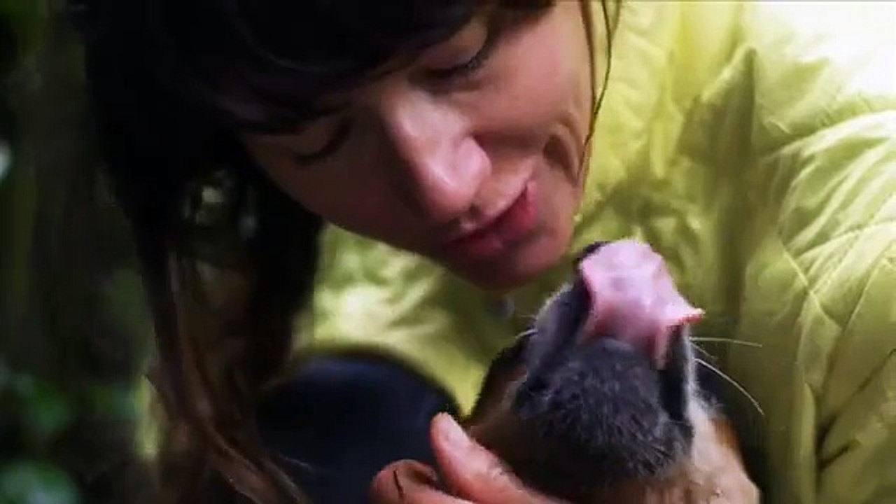 When Dogs Fly: World's First Wingsuit BASE Jumping Dog