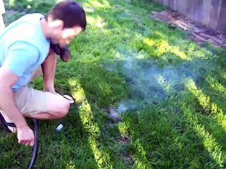 Kill Moles Road Flare Style