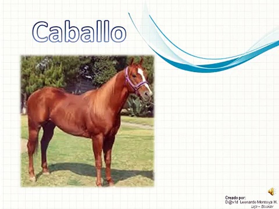 Sonidos de los Animales v.1