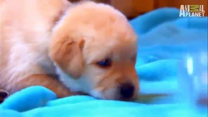 [힐링]수원출장안마ⅸ OIO,2156-42O2 청정지역 안양출장안마 (수원출장안마/수원출장마사지)LUM