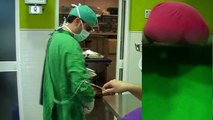 Bienvenidos al canal de cirugía de la Clínica Miraflores del Palo