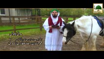 Madani Phool - Ghoron Ki Paishani Me Khair Hai - Haji Hassan Raza Al Madani