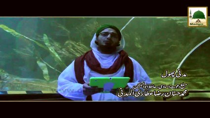Madani Phool - Konsi Machli Umda Hoti Hai - Haji Hassan Raza Al Madani
