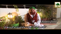 Madani Phool Shawwal 01 - Shawwal Ke Rozay - Haji Abdul Habib Attari