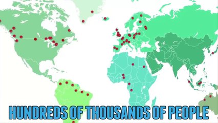 Flat Belly Forever _ Flat Belly Forever Reviews