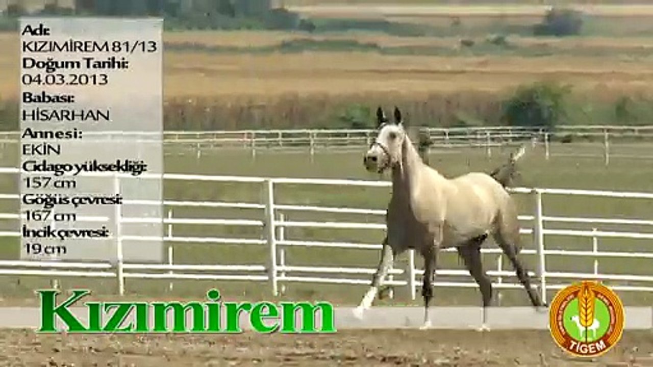 KIZIMİREM
