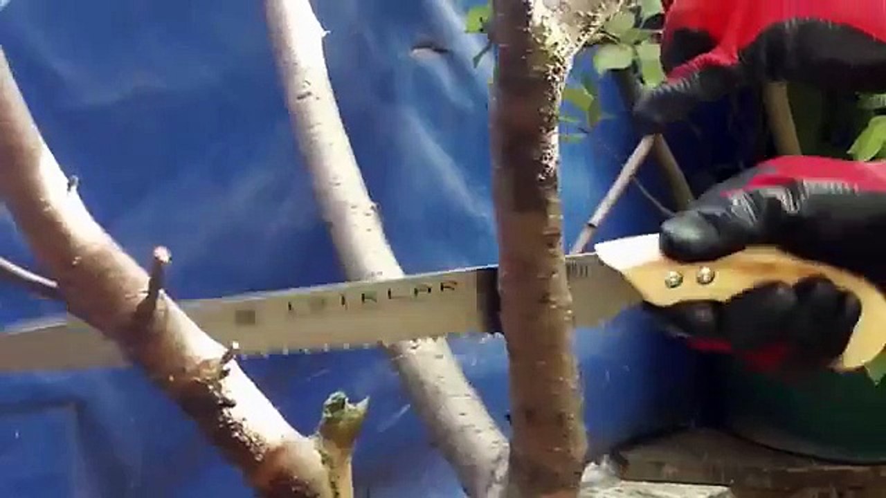 IŞIKLAR TESTERE ÜRÜN TANITIM