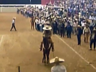 Cala de caballo de Don Vicente Fernandez