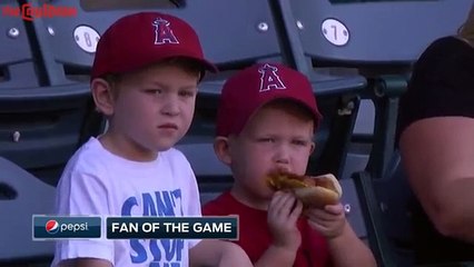 Un petit garçon tente de manger un hot dog dans les tribunes d'un stade