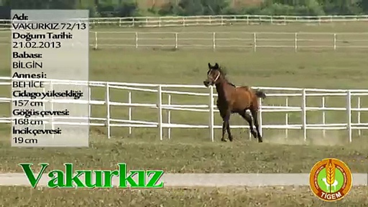 VAKURKIZ