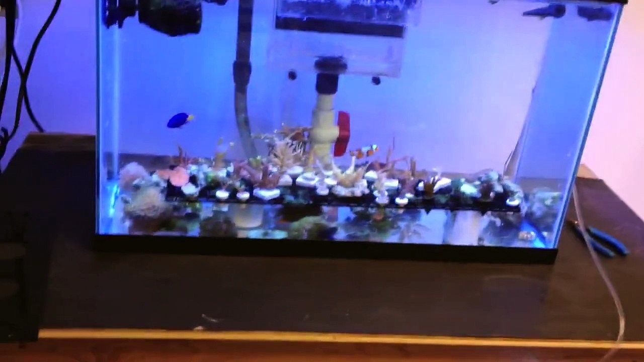 Frag Tank Disaster and Aversion