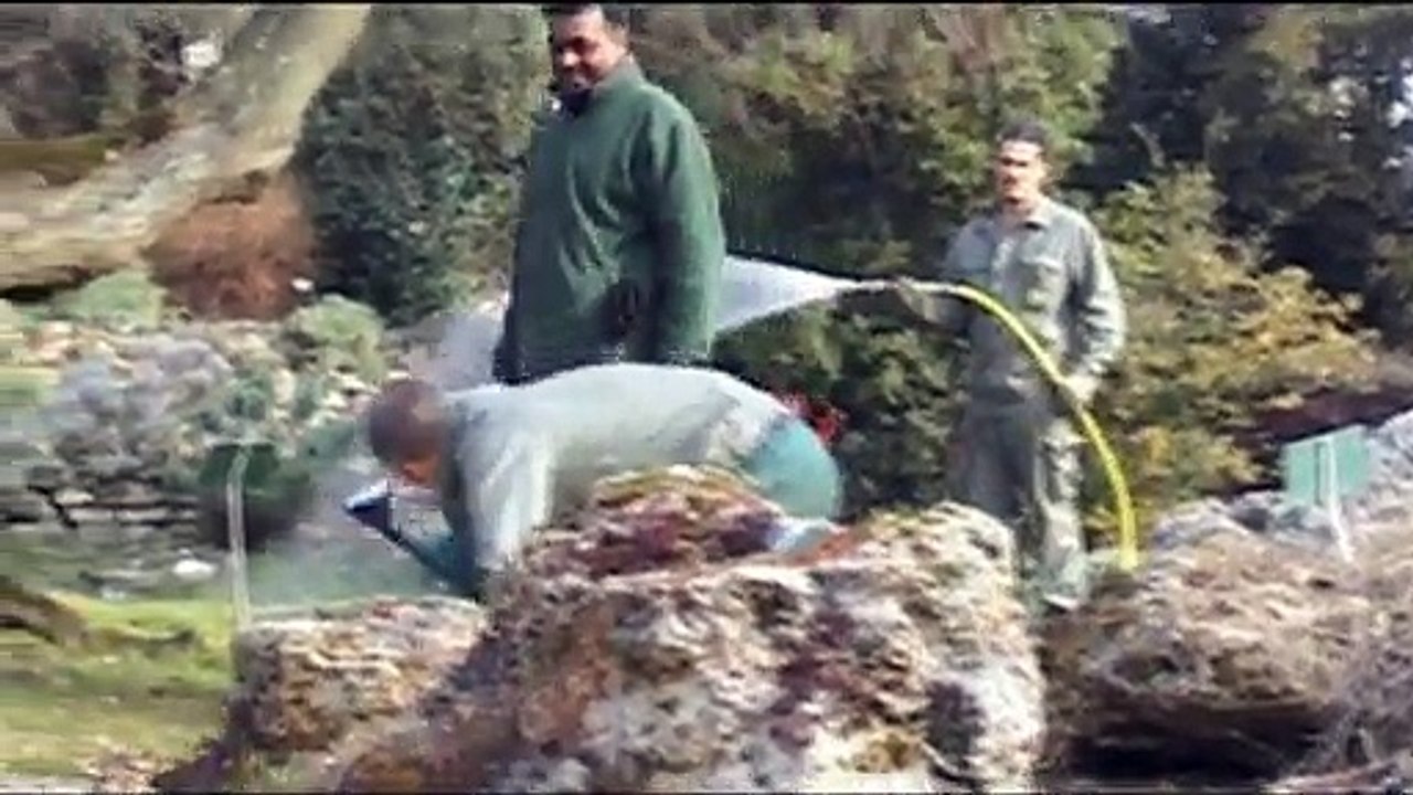 Mars : les premiers soins du printemps (L'éphéméride des jardiniers 3/12)