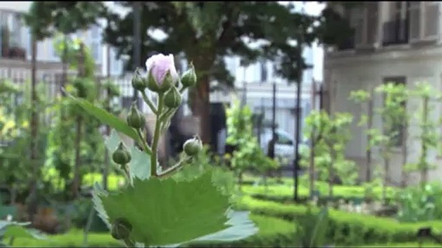 Avril : la préparation du potager (L'éphéméride des jardiniers 4/12)