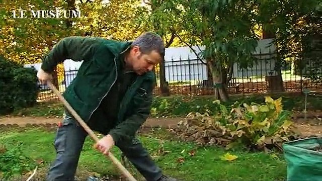 Octobre : les semis des annuelles (L'éphéméride des jardiniers 10/12)