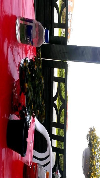 Videomaterial aus Friedrichskoog 002