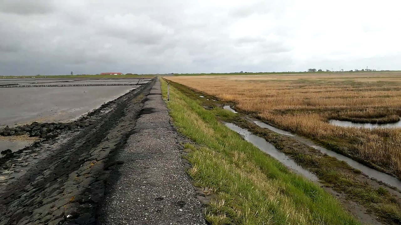 Videomaterial aus Friedrichskoog 006