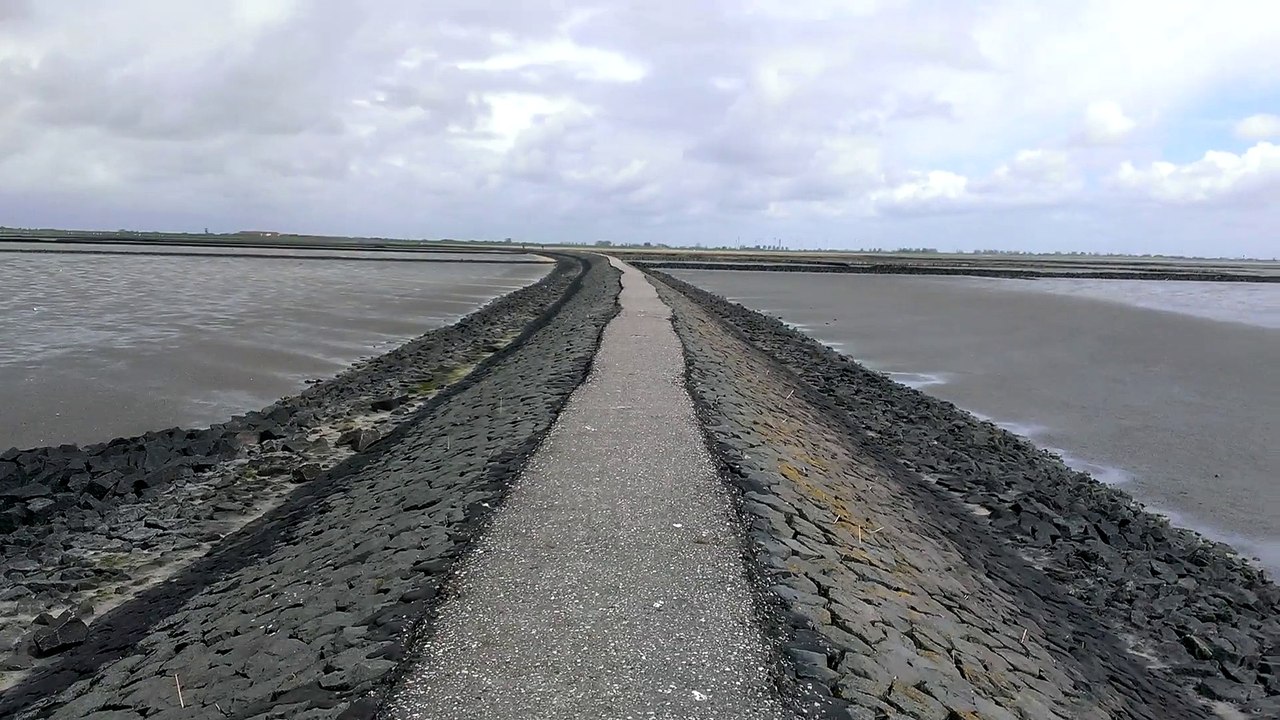 Videomaterial aus Friedrichskoog 007