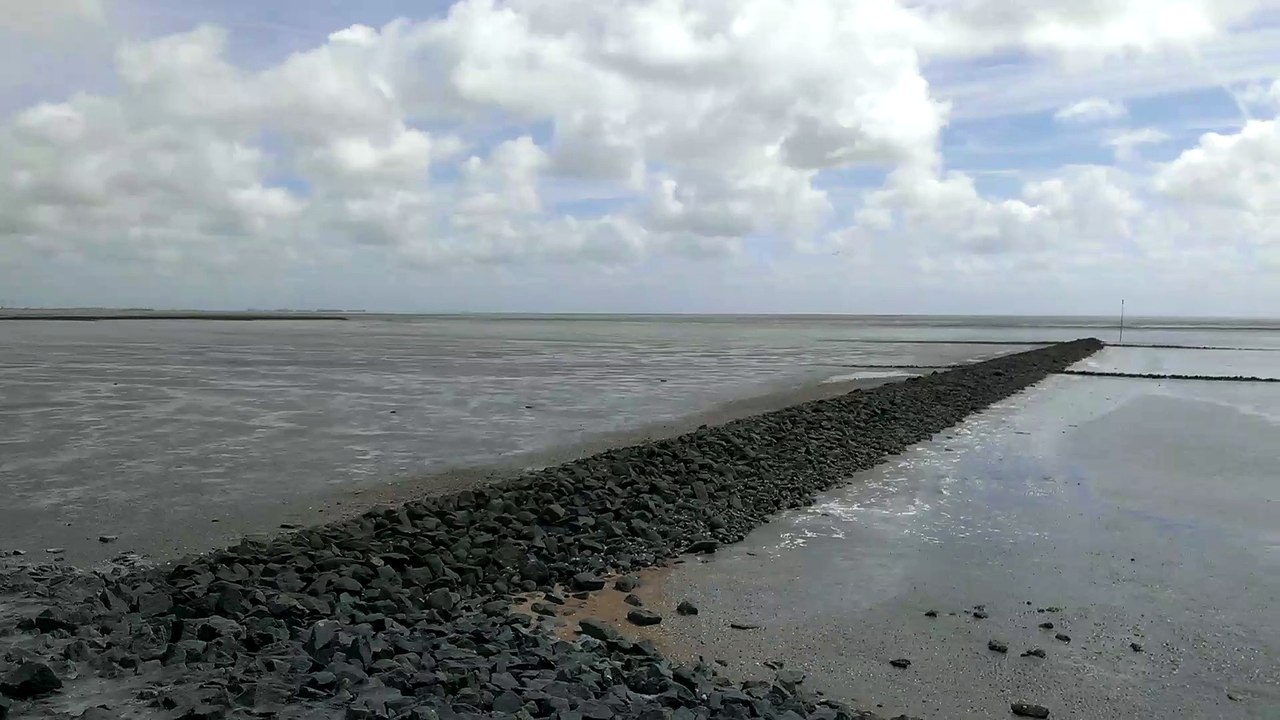 Videomaterial aus Friedrichskoog 008