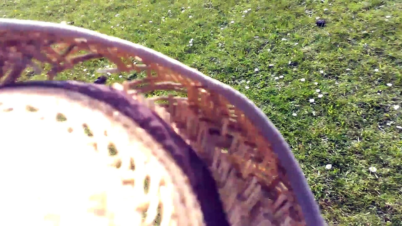 Videomaterial aus Friedrichskoog 017