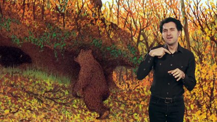 Der Bär, der ein Bär bleiben wollte (ÖGS)