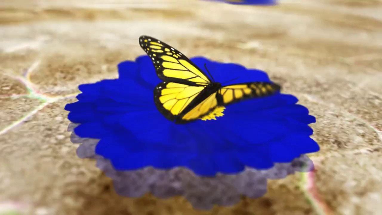 Butter Fly IsaacTv  Filler HD English