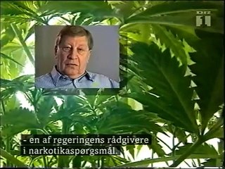 Sådan blev hash forbudt i Danmark