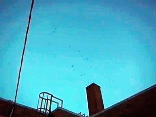 Chimney Swifts live up to their name in Chelsea, MI