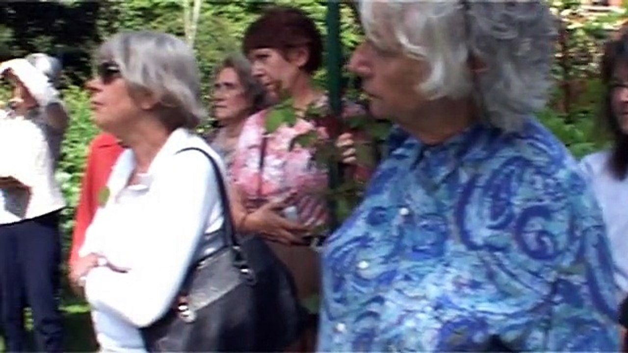 Les iris : feu d’artifice de couleurs (Les propos de jardiniers 6/12)