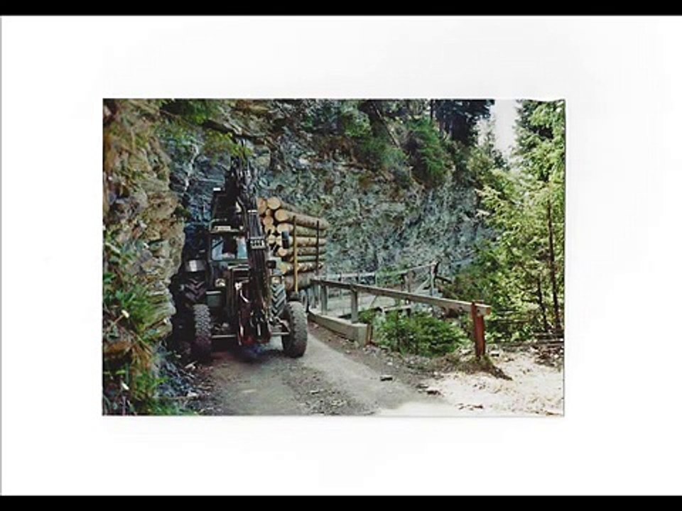 Holztransport mit Traktor