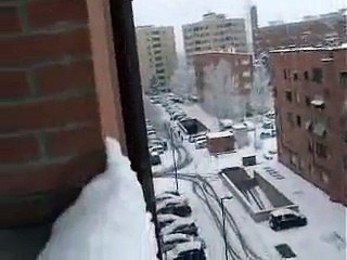 Neve a Bologna 31-01-2010