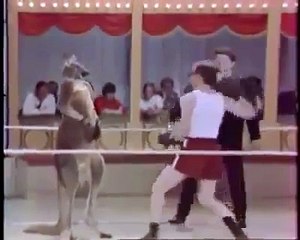 Happy Boxing Day... ok I know it's not thisype of boxing but funny anywa