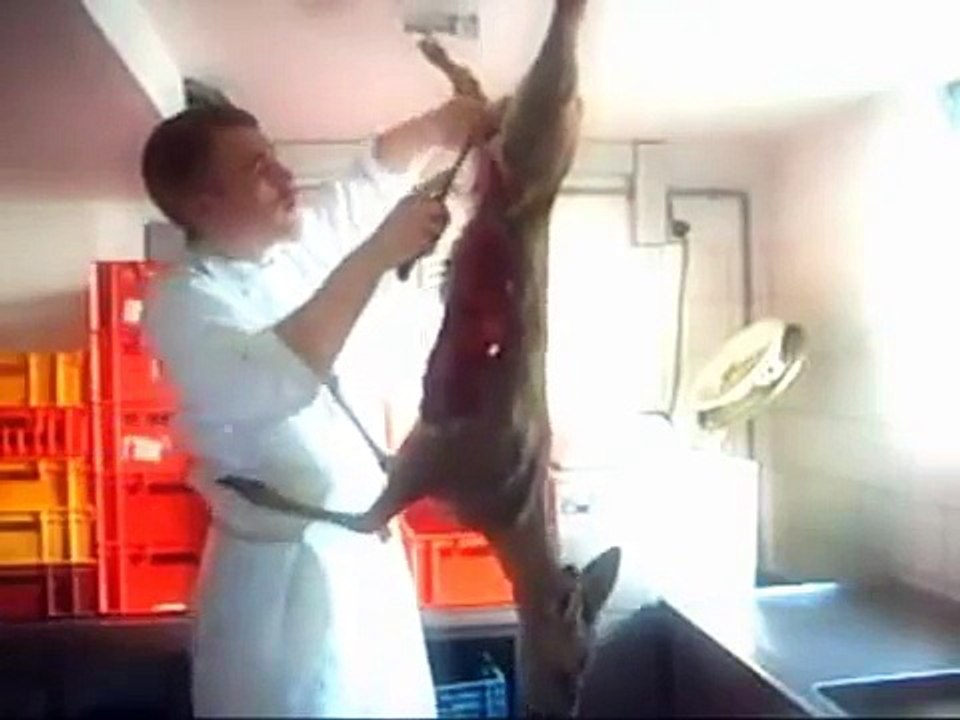 Mike versus Bambi