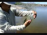 Pesca en la Presa Chihuahua