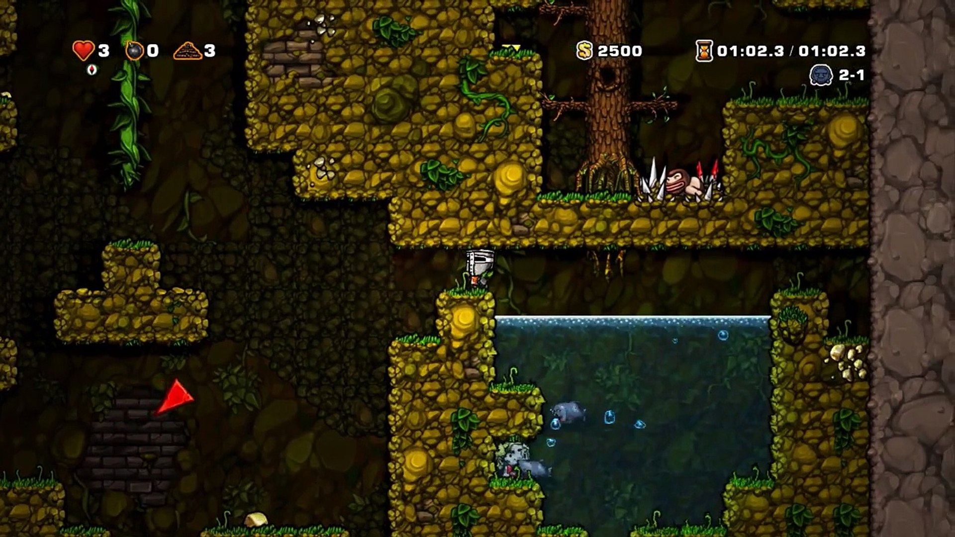 Spelunky Carrying Frog